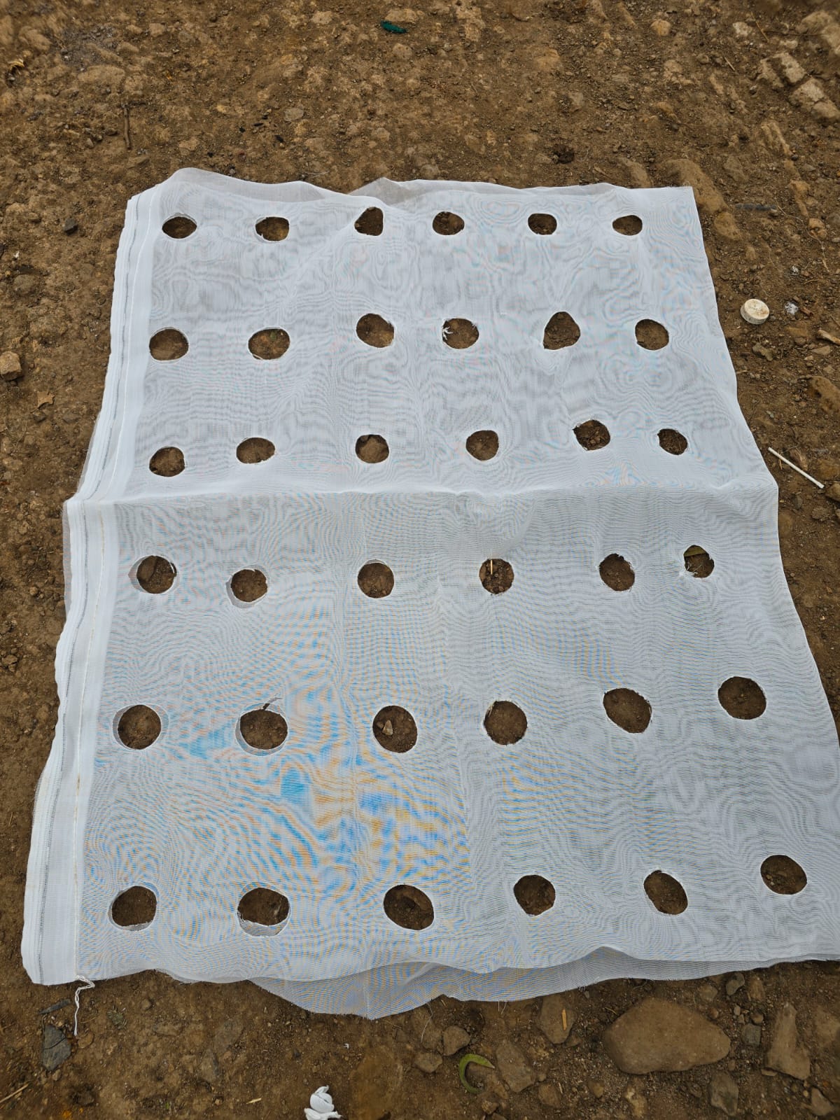 Vertical grow bags